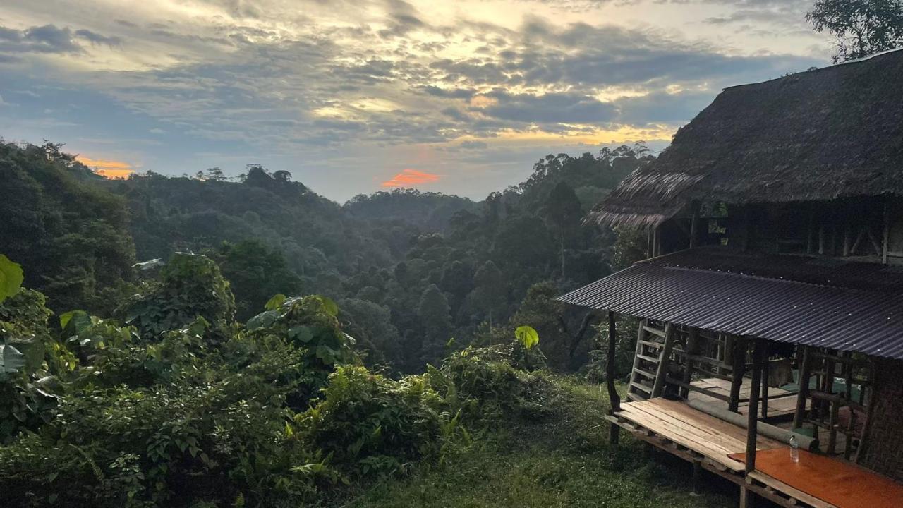 Orangutantreksumatra & Lovely Jungle Lodge Only Book If You Are Treking With Us Bukit Lawang Exterior photo
