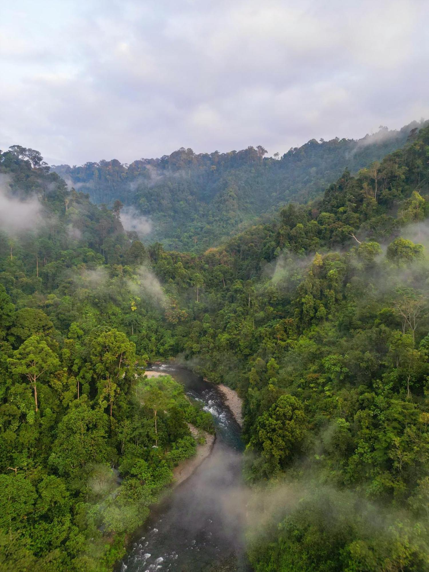 Orangutantreksumatra & Lovely Jungle Lodge Only Book If You Are Treking With Us Bukit Lawang Exterior photo